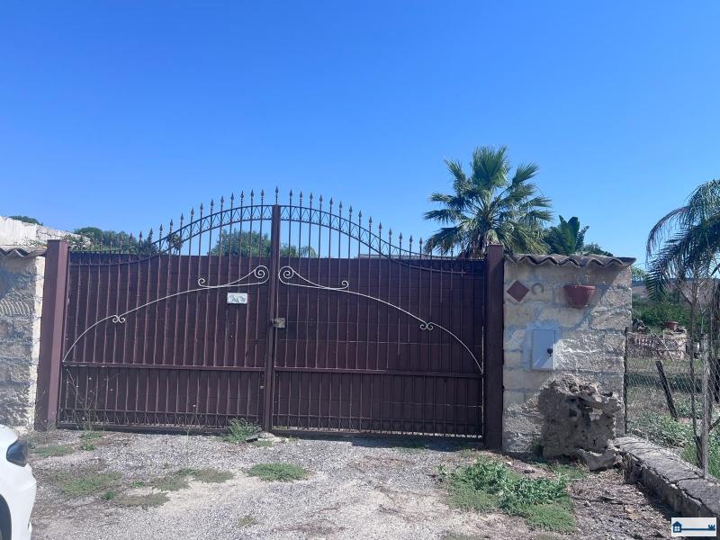 Immagine WhatsApp 2025-07-23 ore 17.39.12_be67626a.jpg